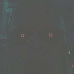 THE SOKUSHINBUTSU