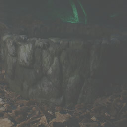 THE RING