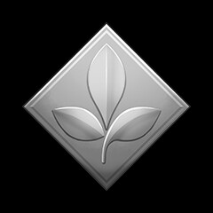 Exploring Liberum