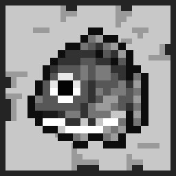 Tilapia