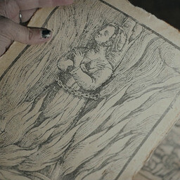 Lore of the Cursed