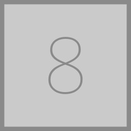 Level 08