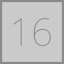 Level 16
