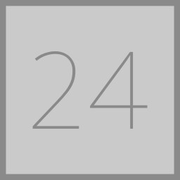 Level 24