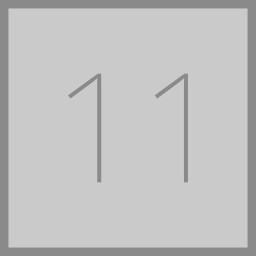 Level 11