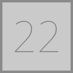Level 22