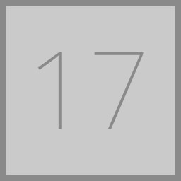 Level 17