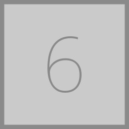 Level 06