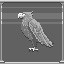 Eagle Eye