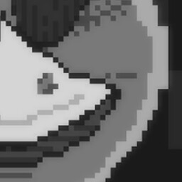 idk, a Beak?