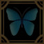 Social Butterfly