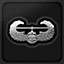 Air Assault Badge