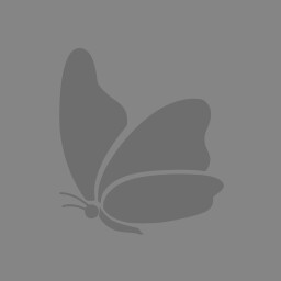 🦋 A Place for Life