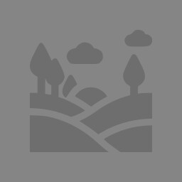 🏞️Landscape Designer