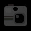 Wildlife Photographer