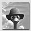 Strange Hat