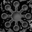 Galactic Frontiersperson