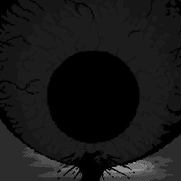 Oculus