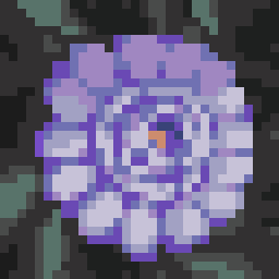 The Garden