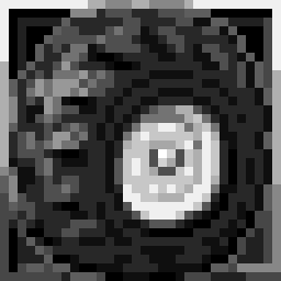 Wheel