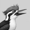 Woodpecker defeated