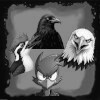 Bird pack beaten