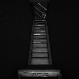 First 10 Steps