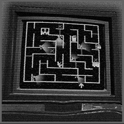 A-maze-ing teamwork