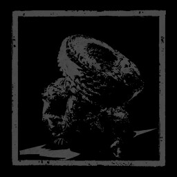 Gigas