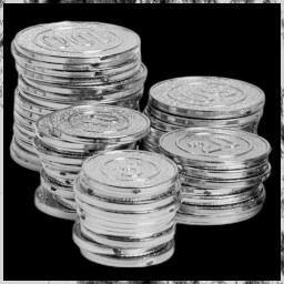 Ponzi Scheme