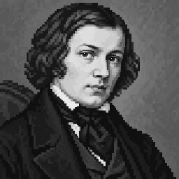Robert Schumann - 5K Notes