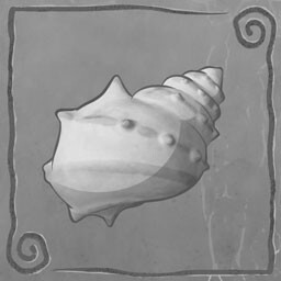 The Hidden Shell