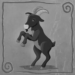 Goats Petting