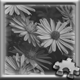 PUZZLE COMPLETE!