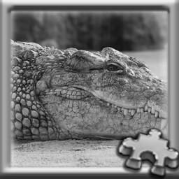 PUZZLE COMPLETE!