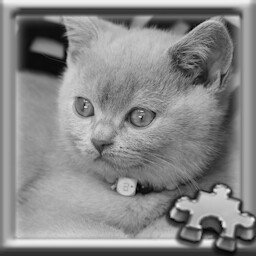 Cat Complete!