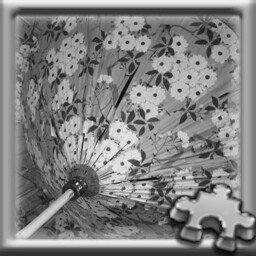 PUZZLE COMPLETE!