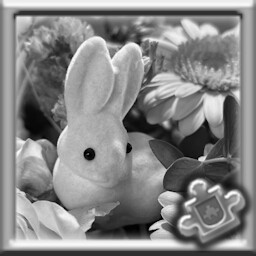 Pink Bunny