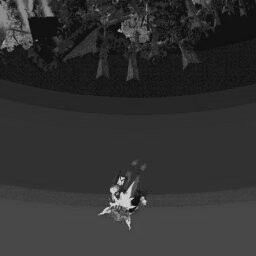 FALLING THROUGH THE MAP