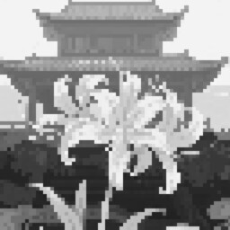 欲望