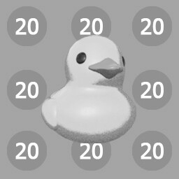 Duck invasion