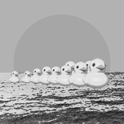 Ducks adrift