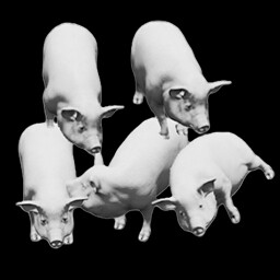 Pig King