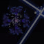 The Sonar