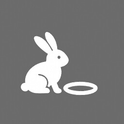 down the rabbit hole