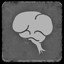 Cortex