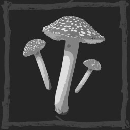 Fairy Circle