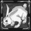 Rabbit Hunter!