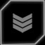 Pilot's License