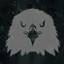 Eagle eyes